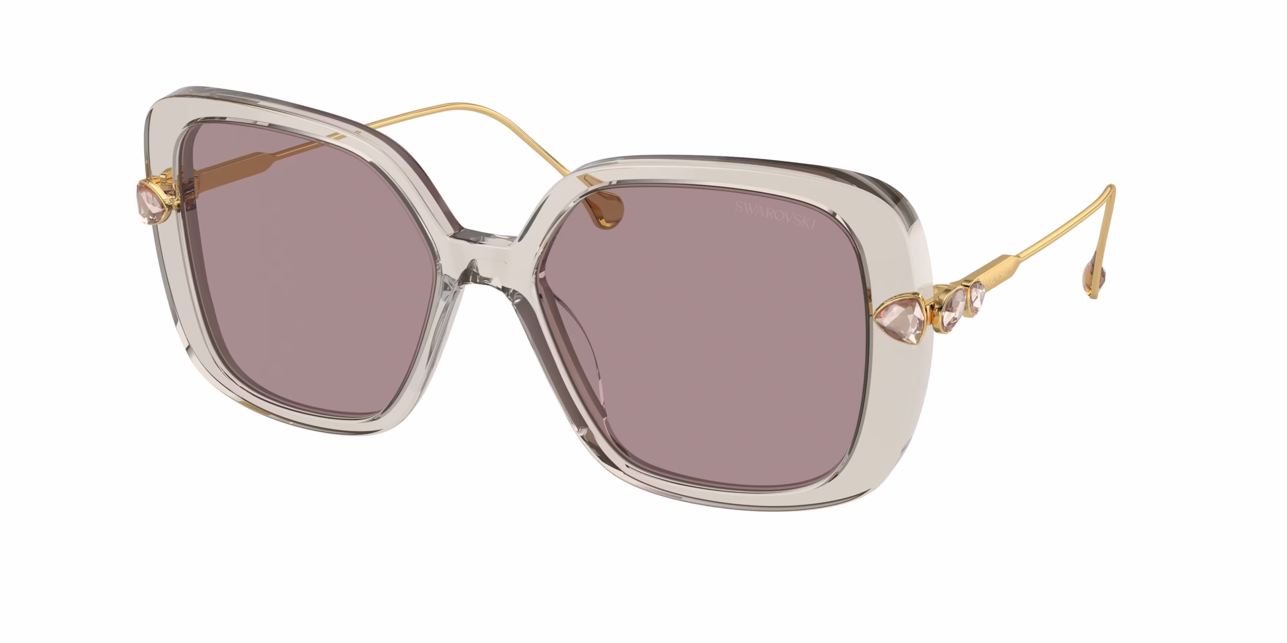 Swarovski SK6011 Sunglasses